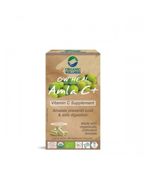 ORGANIC WELLNESS HEAL suplement AMLA (agrest indyjski) 90 kapsułek