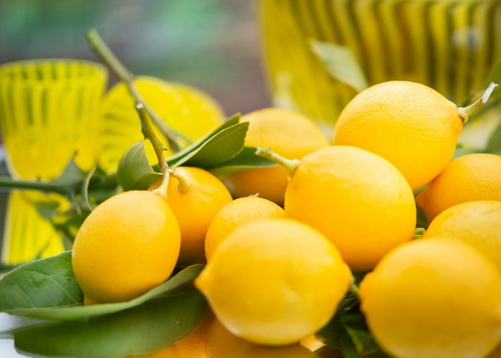 yellow citrus fruits on green leaves